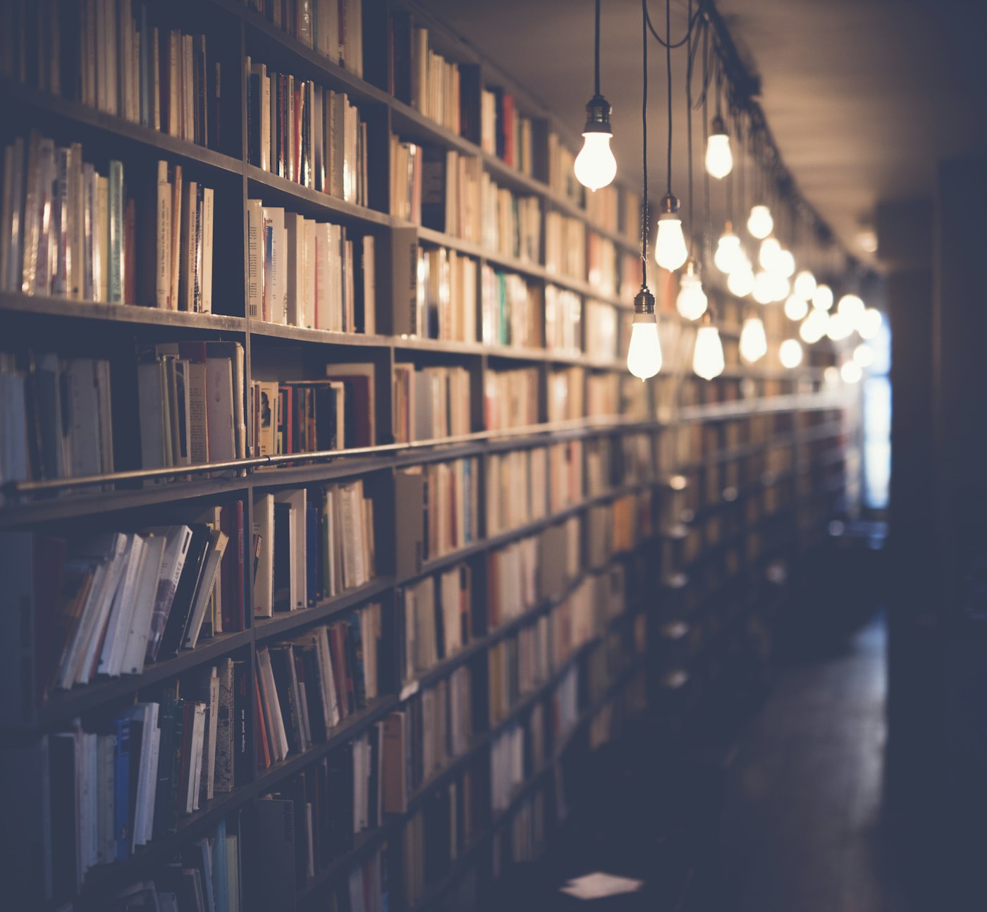 Estantes de una biblioteca con libros antiguos